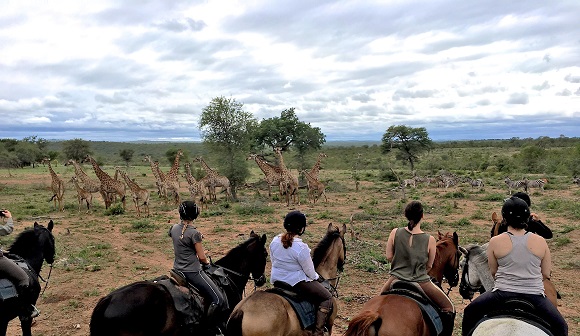 Wait A Little African Safari